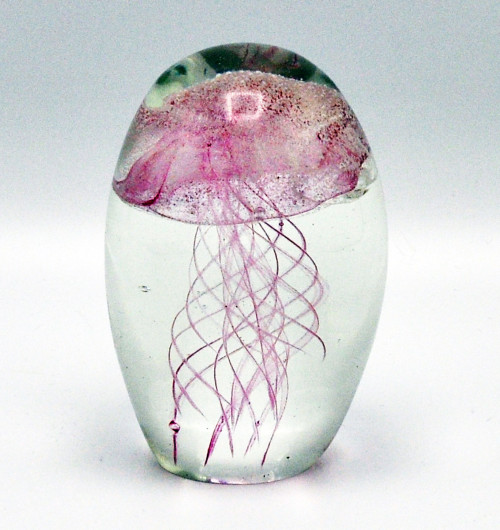 O4HOME + Jellyfish, roze S